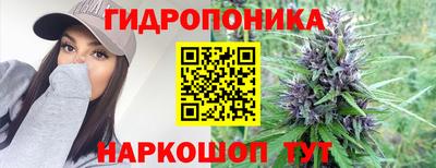 шишки Краснодар