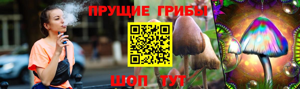 Псилоцибиновые грибы мицелий Ивантеевка
