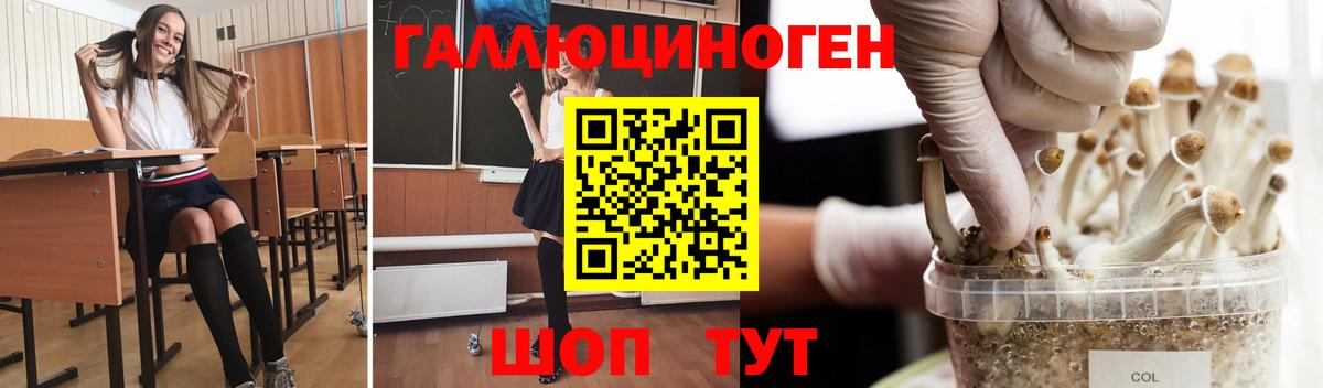 А ПВП СОЛЬ   Каннабис  Ивантеевка  ГАШ  Вход с VPN  Меф МЯУ МЯУ кристаллы  NBOMe  КОКАИН  MDMA 